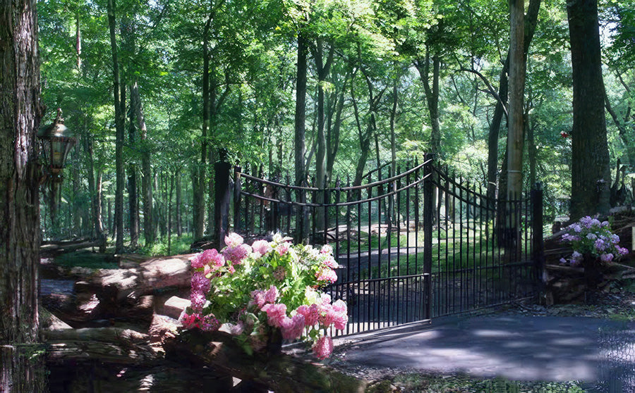 Black wrought iron gate with a curved top design, surrounded by a wooded area and pink flowers near a paved driveway.