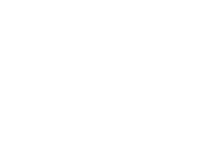white logo that says amazing gates since 1997