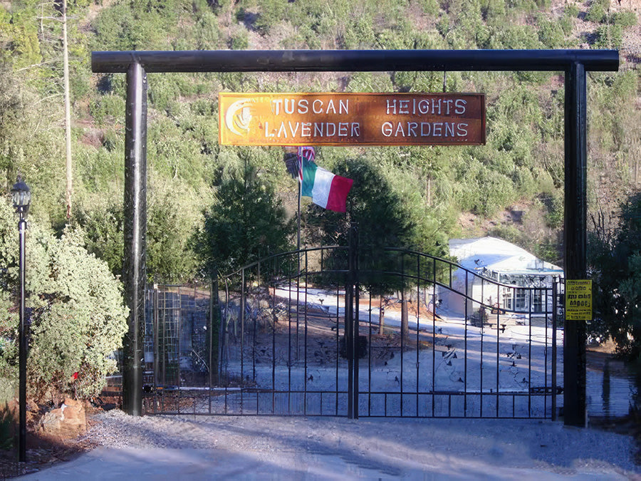 Black iron gate with a "Tuscan Heights Lavender Gardens" sign overhead, an Italian flag, and greenery in the background.